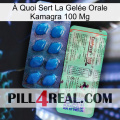 À Quoi Sert La Gelée Orale Kamagra 100 Mg new02